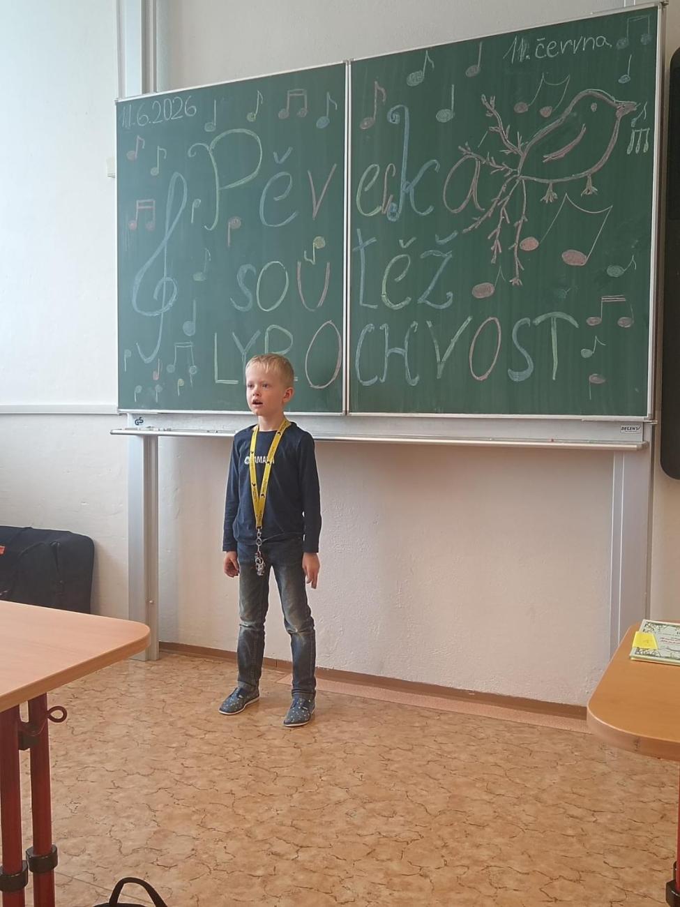 Zlatý lyrochvost