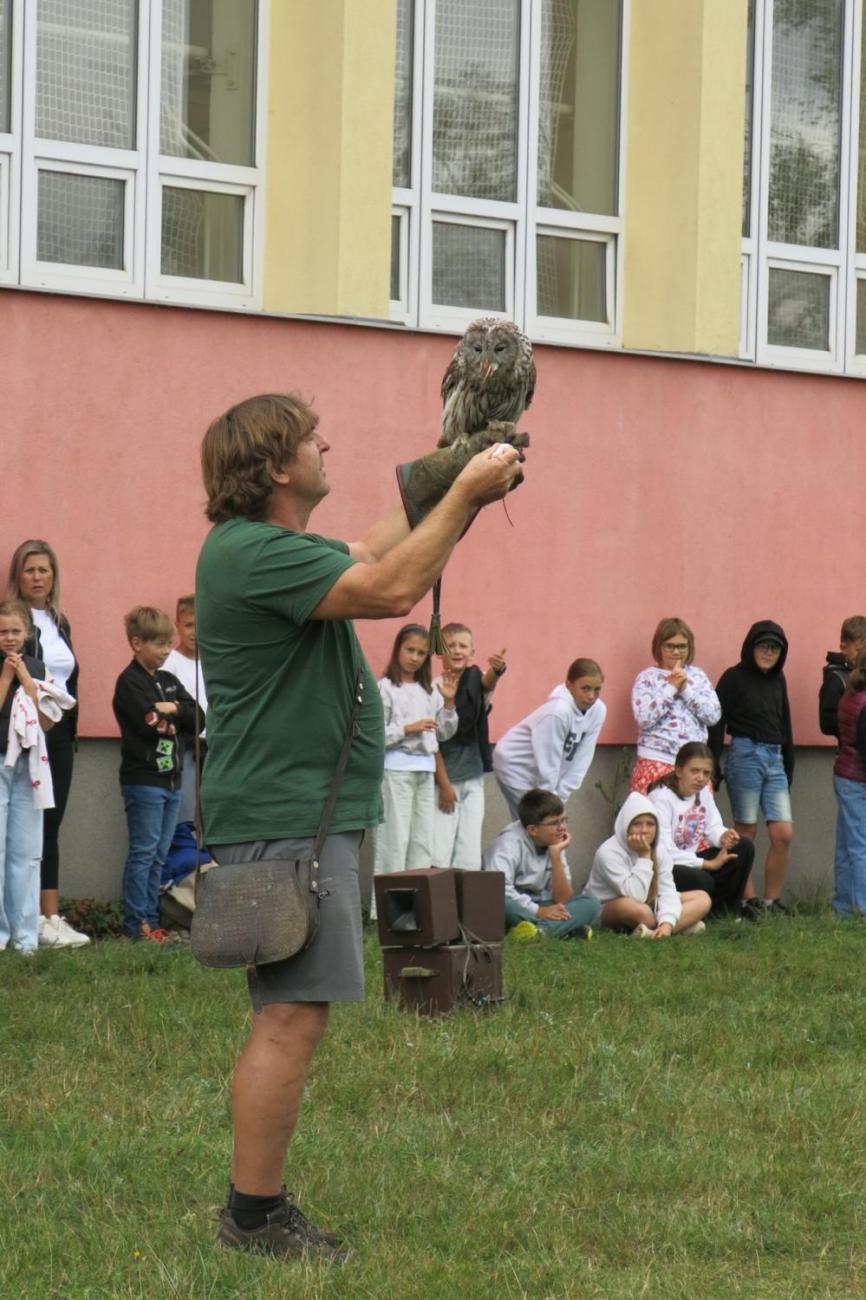 Dravci zavítali na naši školní zahradu