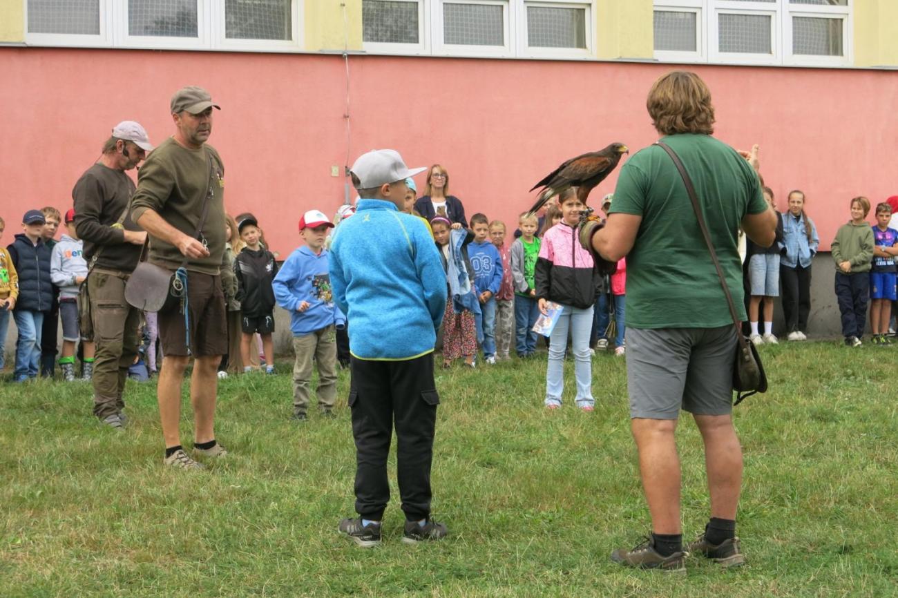 Dravci zavítali na naši školní zahradu