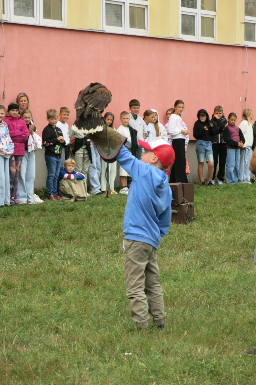 Dravci zavítali na naši školní zahradu