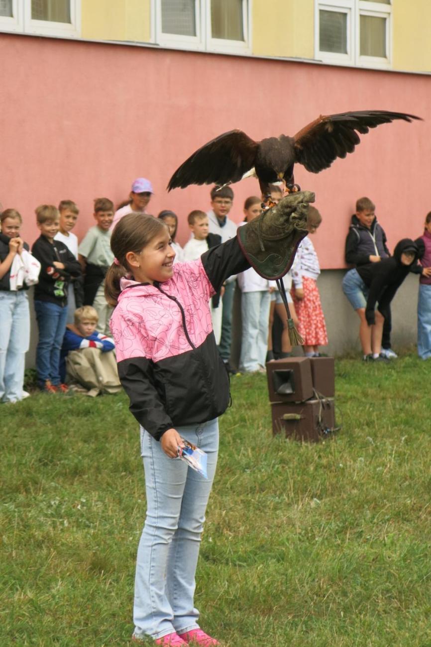 Dravci zavítali na naši školní zahradu