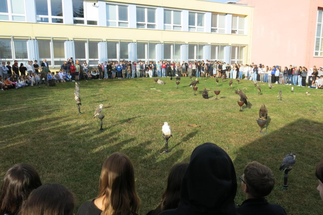 Dravci zavítali na naši školní zahradu