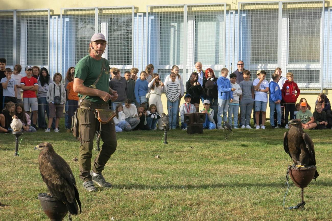 Dravci zavítali na naši školní zahradu