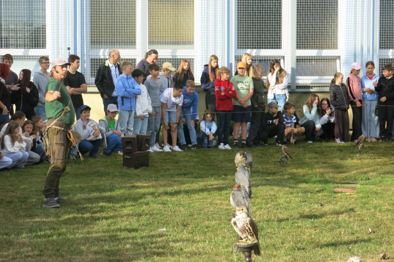 Dravci zavítali na naši školní zahradu