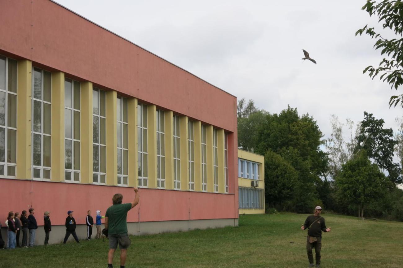 Dravci zavítali na naši školní zahradu