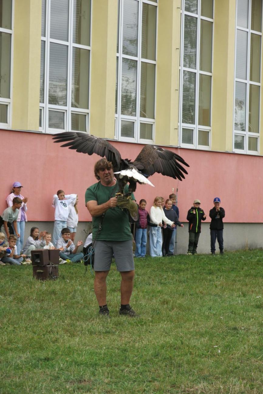Dravci zavítali na naši školní zahradu