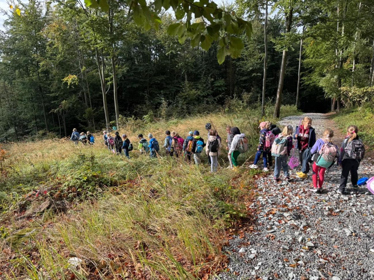Modré žáby pod Šacberkem  2.A