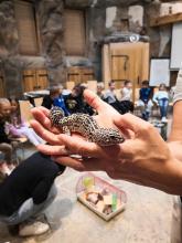 Výukový program ZOO - Mazlíčci  2.A